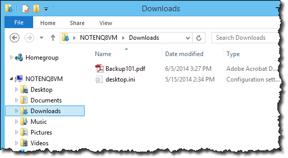 PDF File in File Explorer