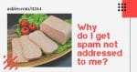 Why Do I Get Spam Not Addressed to Me? How Spammers Do It, and What Steps You Can Take