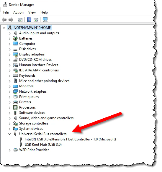 USB Controllers in Device Manager