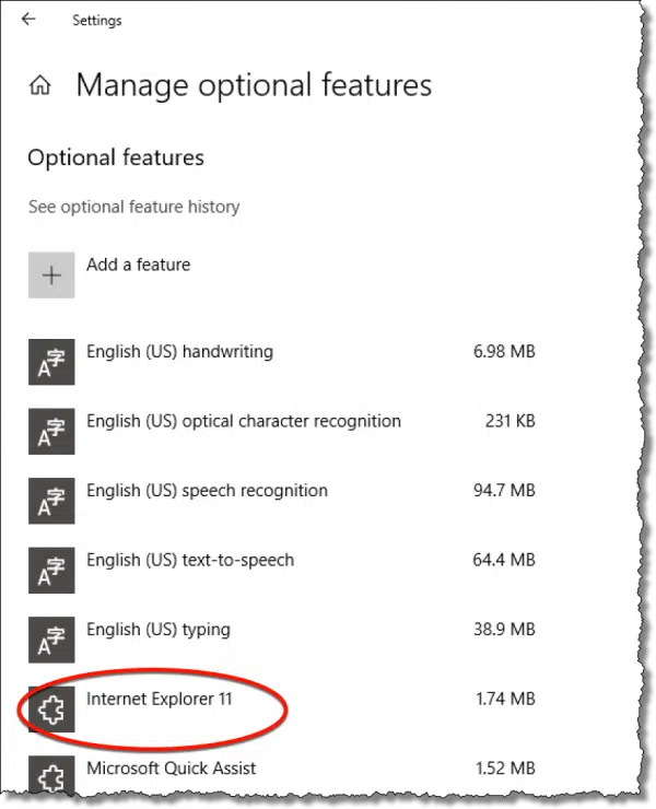 optional-features-600x740.png.webp