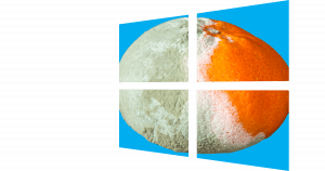 Moldy Orange